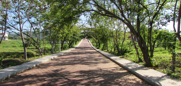 Universidad de la Costa