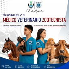 Veterinario Zootecnista