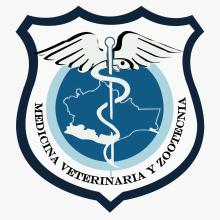 Vacante