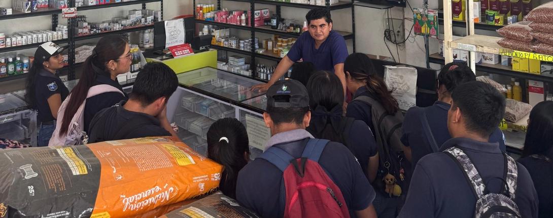 Farmacias Veterinarias 