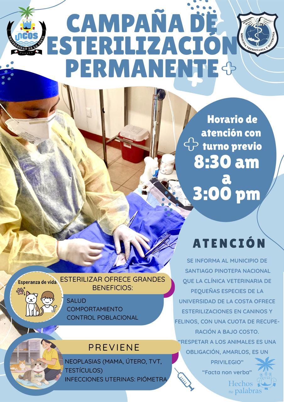 Esterilización