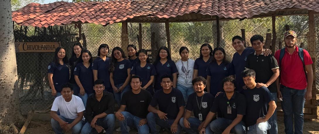 Practica Medicina Veterinaria