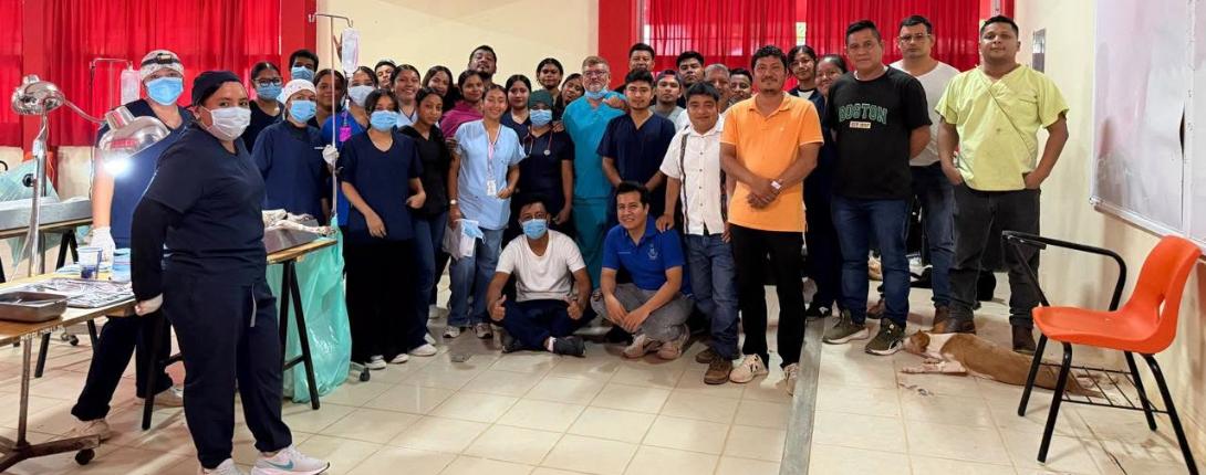 Campaña de esterilización